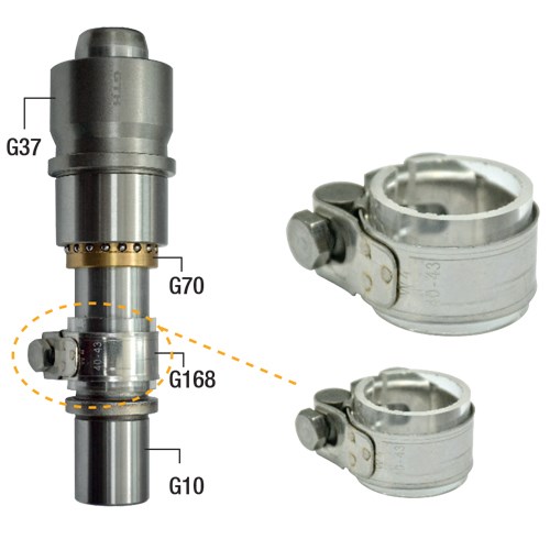 G168 Limiting Bush